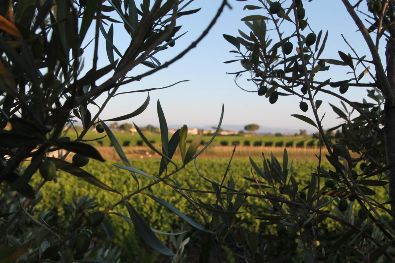 Agrihotel Elisabetta Collemezzano エクステリア 写真