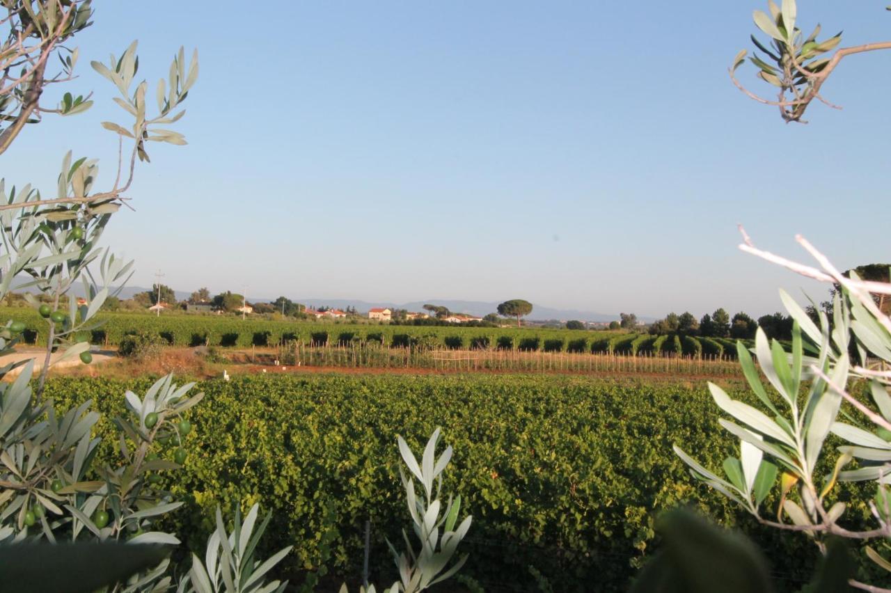 Agrihotel Elisabetta Collemezzano エクステリア 写真