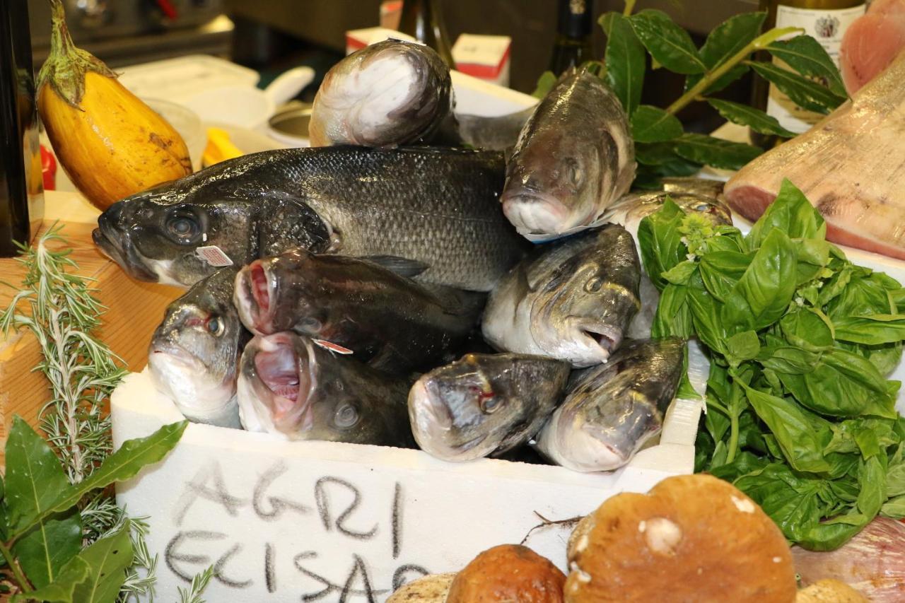 Agrihotel Elisabetta Collemezzano エクステリア 写真